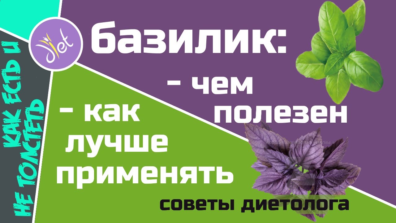 Полезные свойства базилика