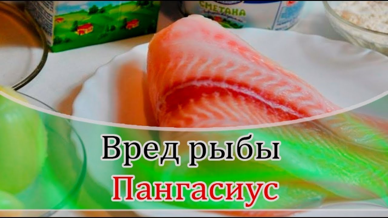 Вред рыбы пангасиус