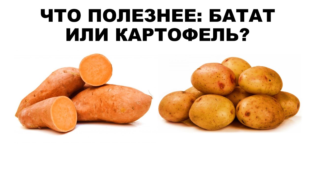 Что полезнее: батат или картофель?