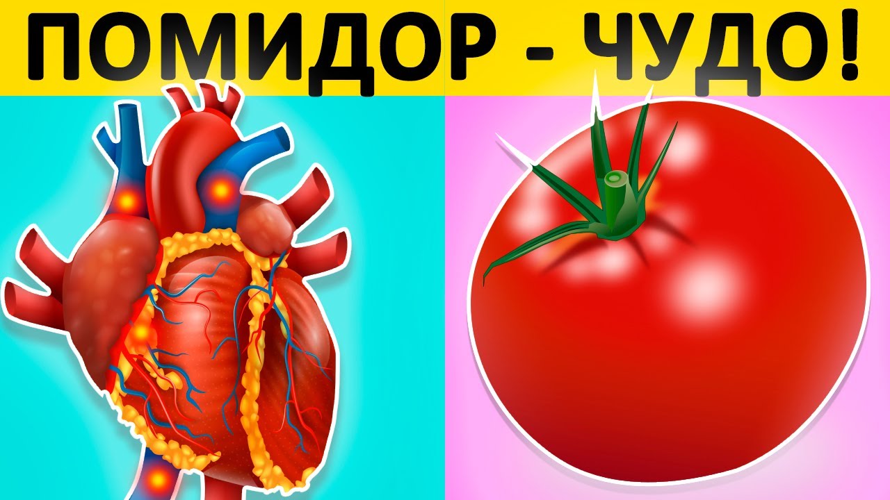 Польза и вред томатов для здоровья