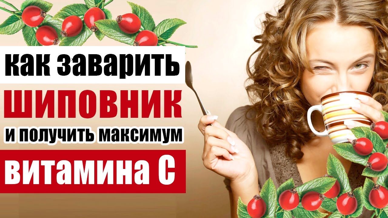 Как правильно заварить шиповник, чтобы сохранить витамин С?