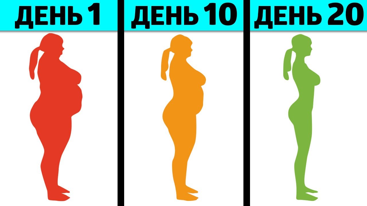 Польза и вред хумуса 