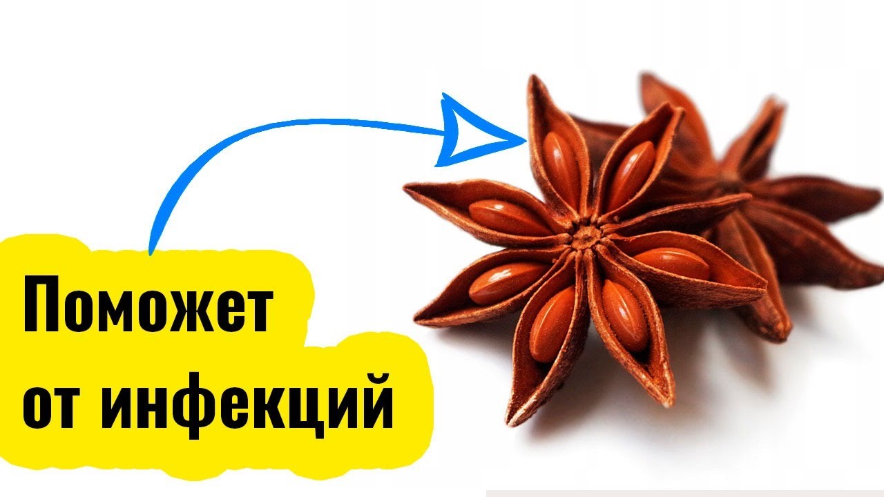 Лечебные свойства аниса