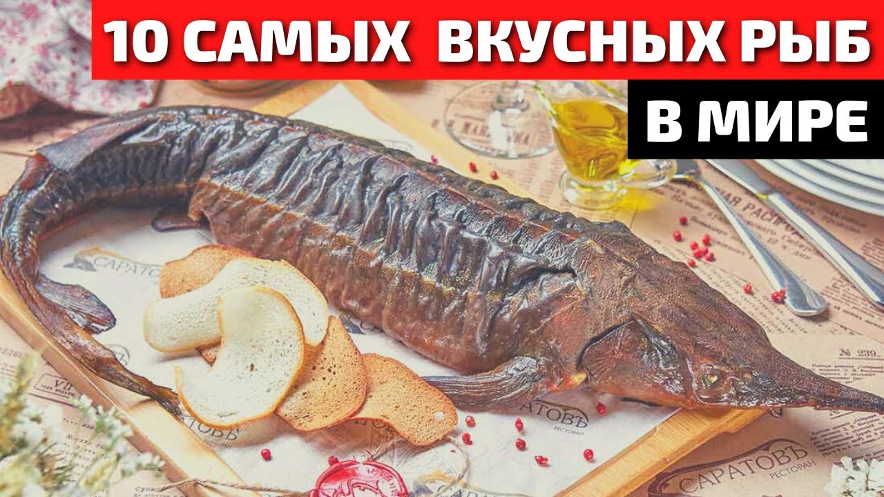 Топ 10 cамой вкусной и полезной рыбы в мире