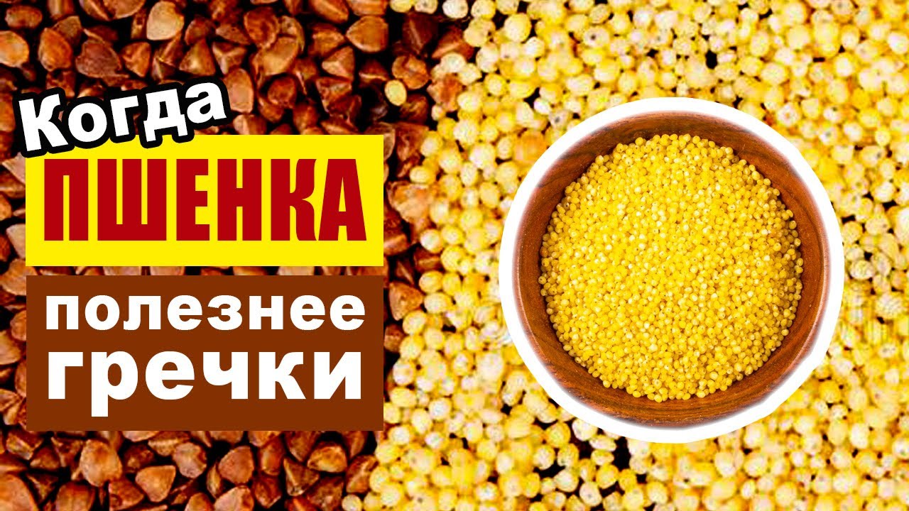 Польза и вред пшеничной каши