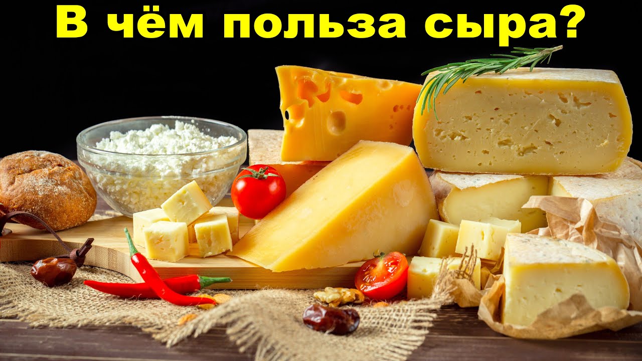 В чём польза сыра для здоровья человека? 