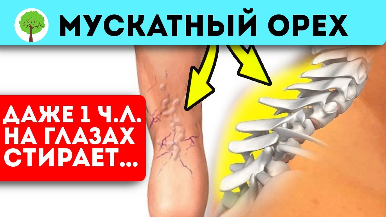 Зачем есть мускатный орех?