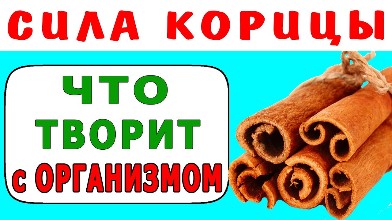 Польза и вред корицы 
