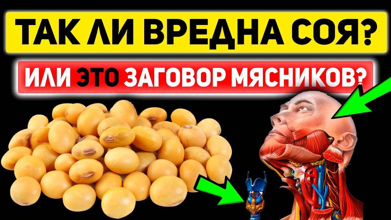 Соевые продукты полезны или нет?