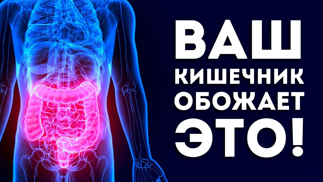 Самые полезные продукты для кишечника