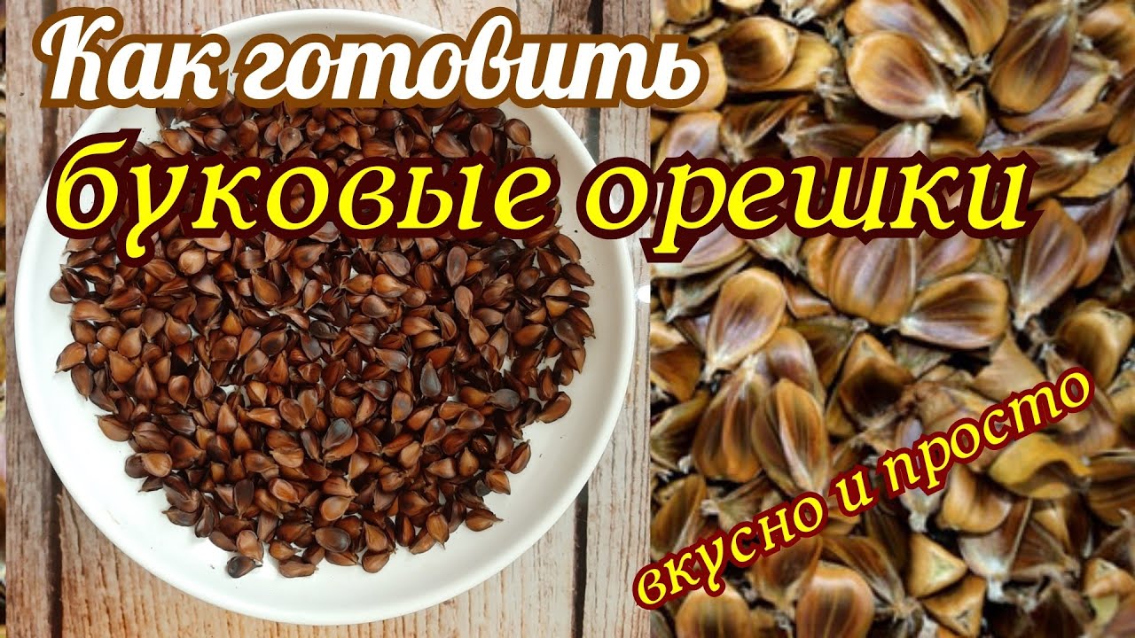 Как готовить буковые орешки?