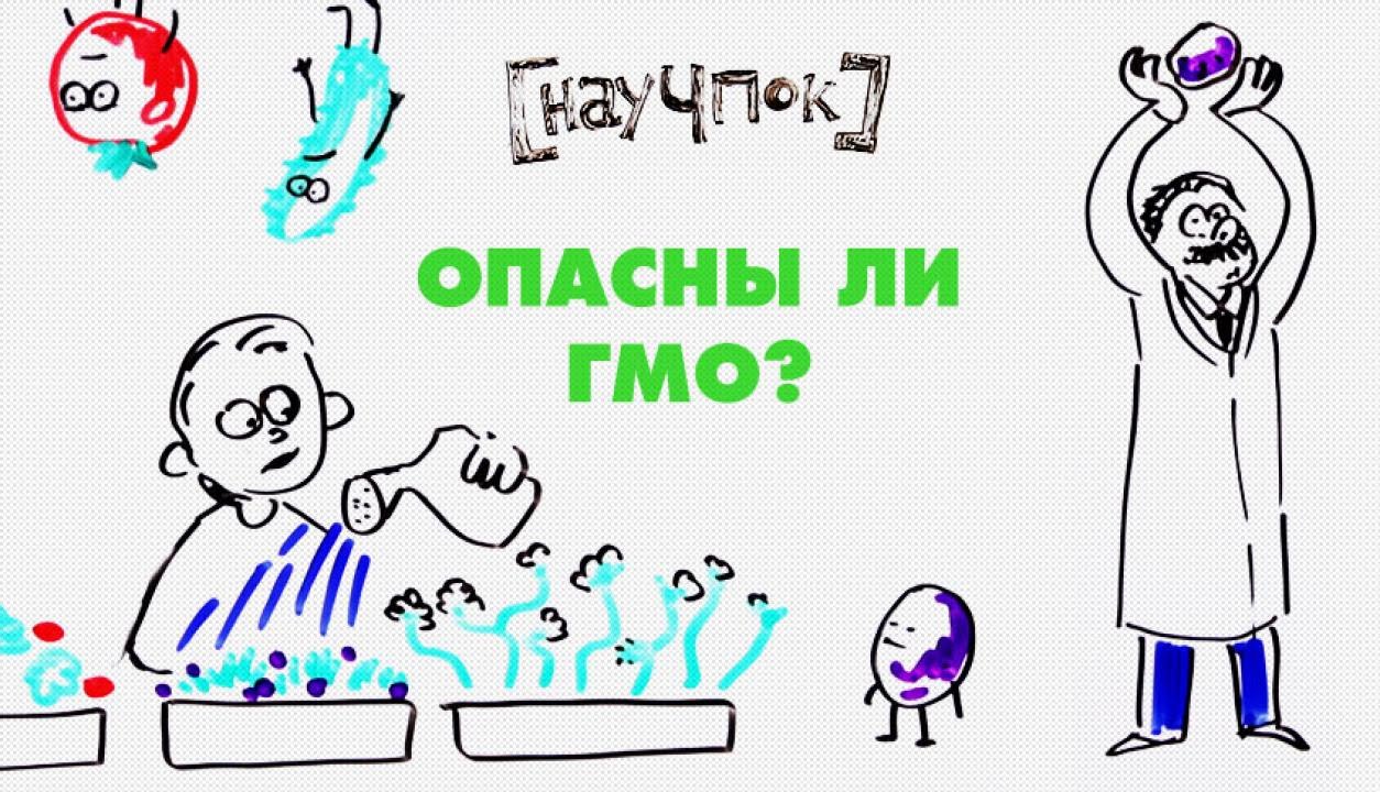 Опасны ли ГМО?