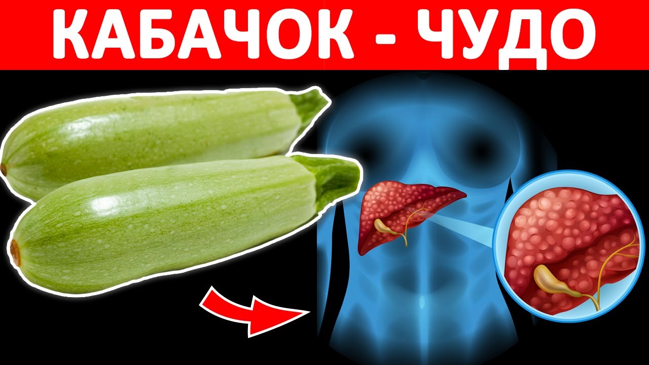 Польза и вред кабачков