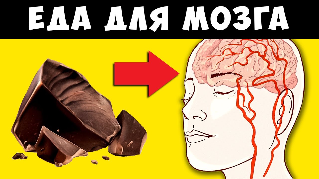 11 лучших продуктов для мозга и памяти