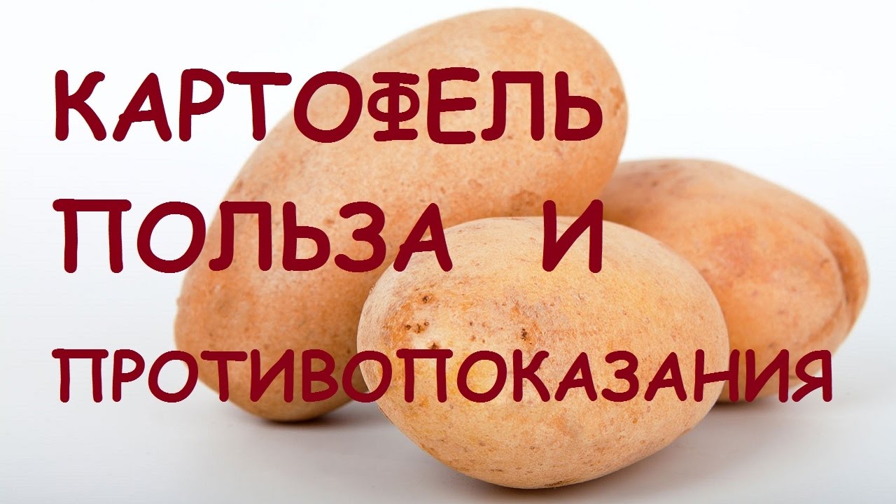 Польза и вред картофеля для организма