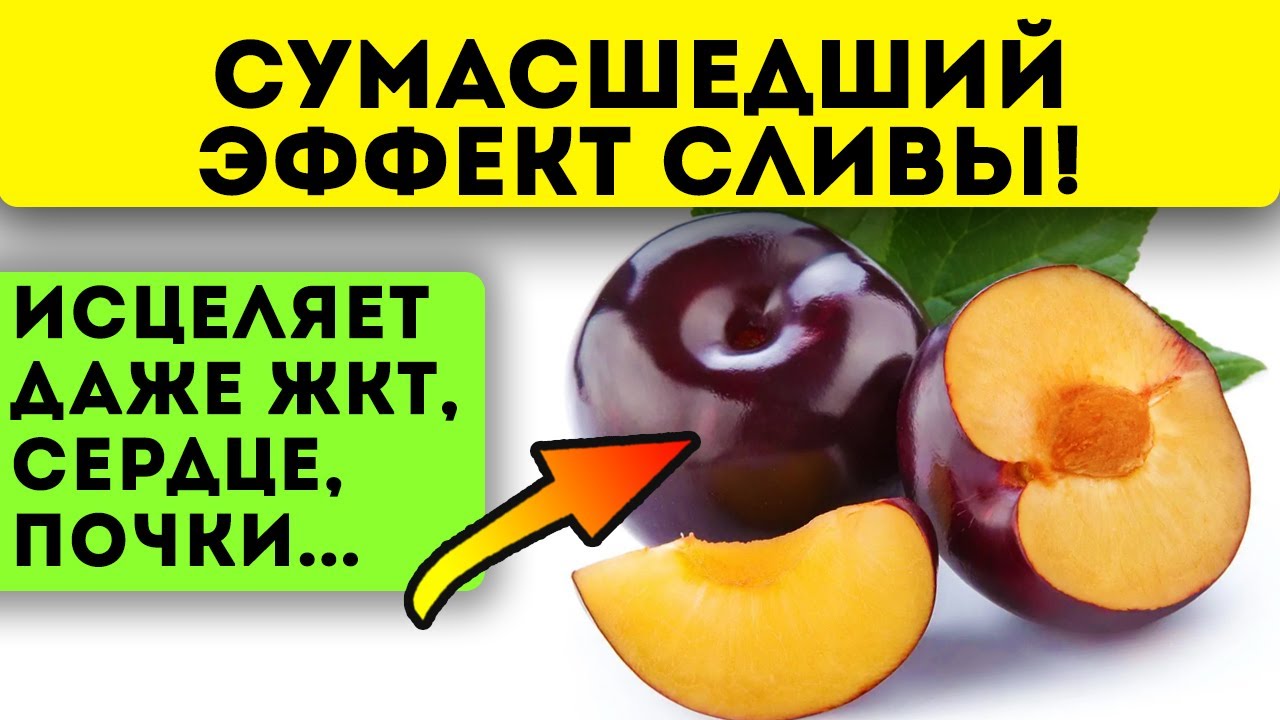 Польза и вред сливы для здоровья