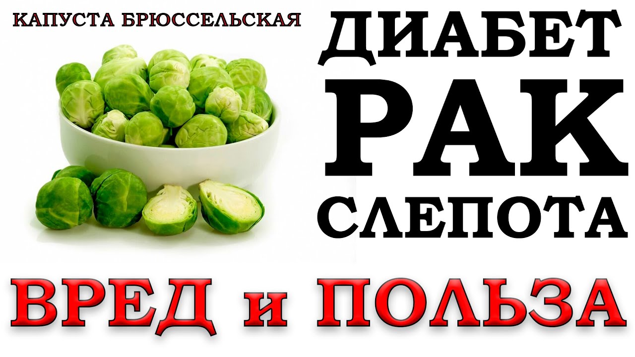 Польза и вред брюссельской капусты