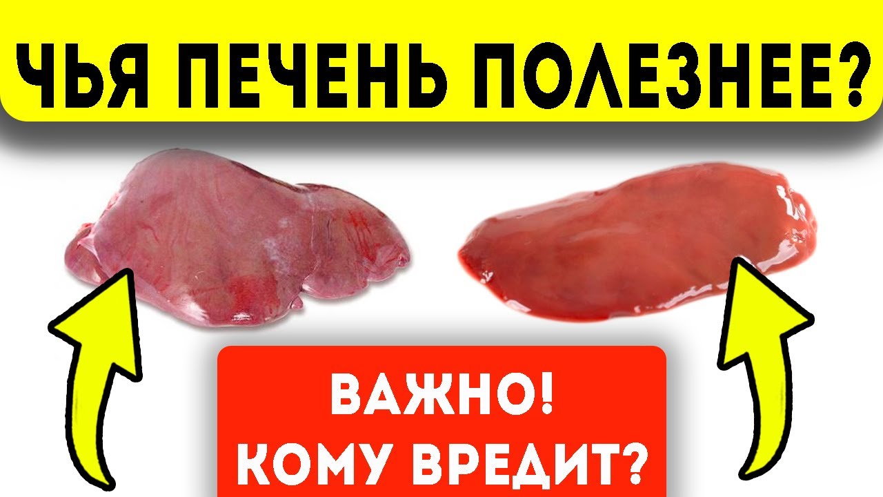 Какая печень полезнее?