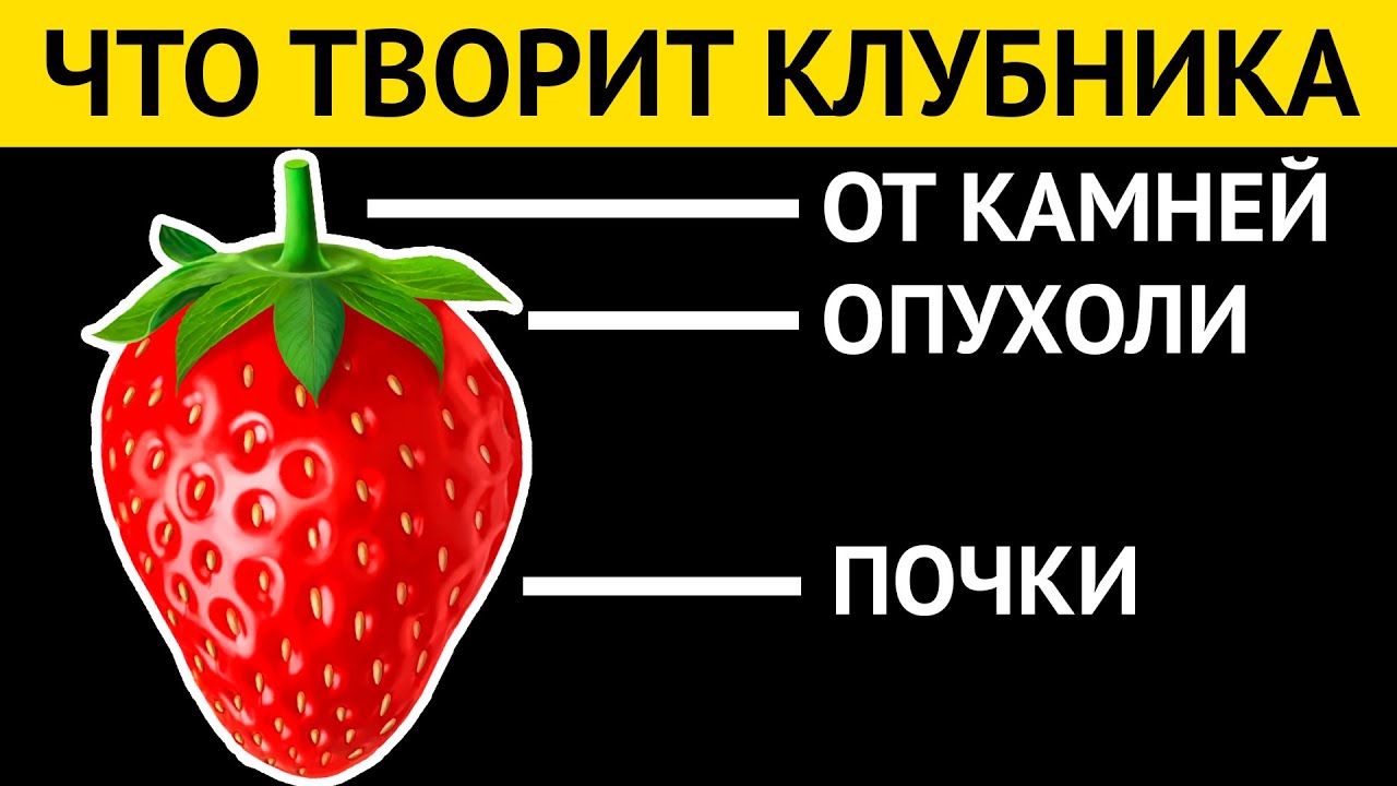 Что творит клубника с организмом?