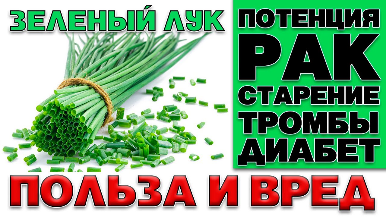 Польза и вред зелёного лука