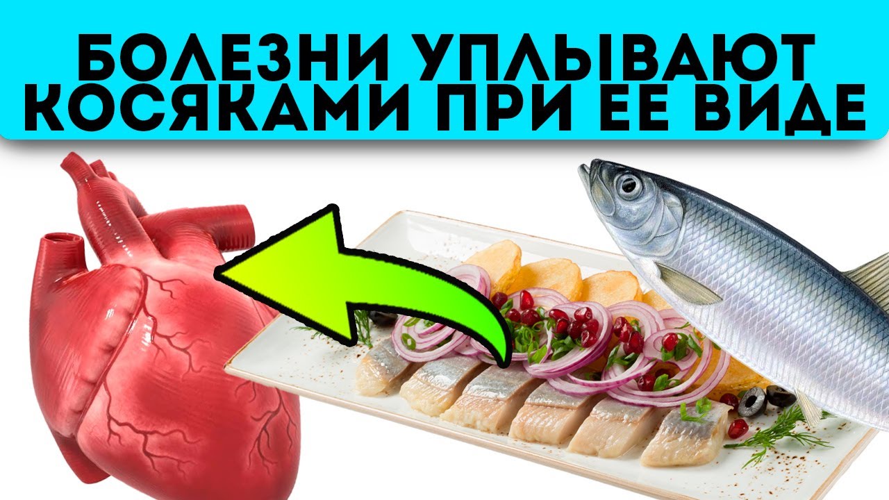Польза и вред сельди для здоровья