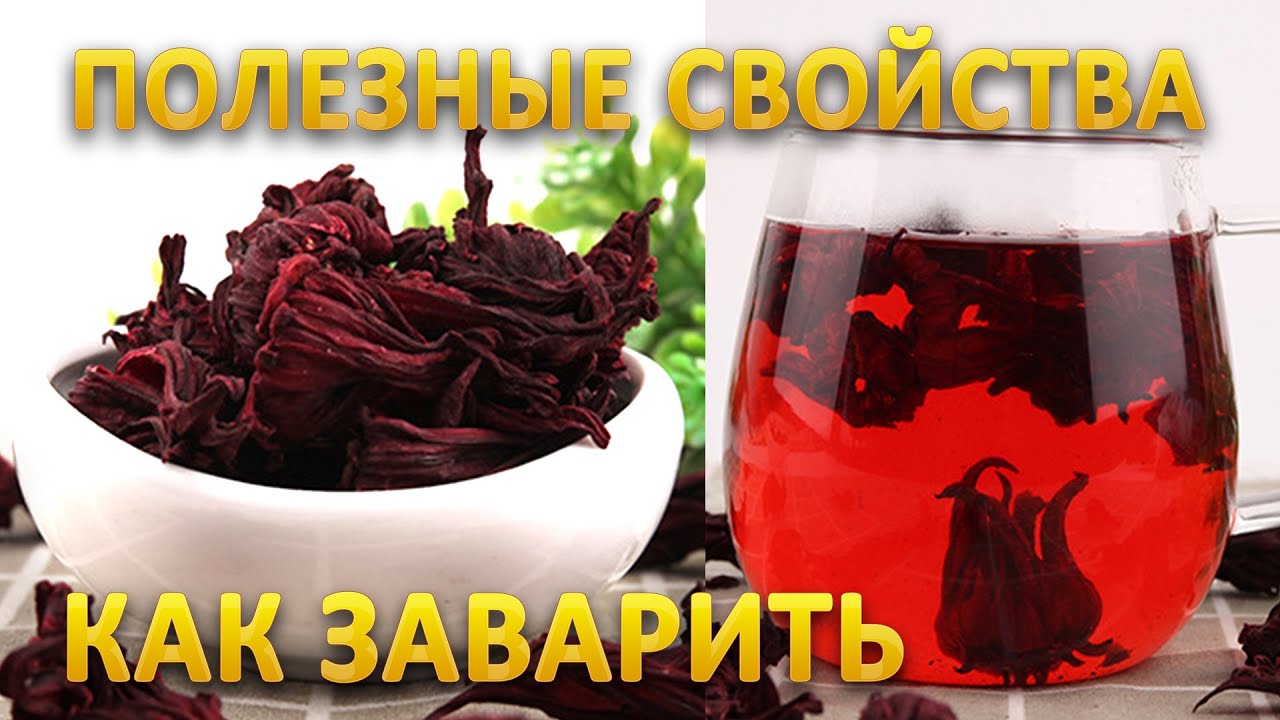 Каркаде чай - свойства, как заваривать
