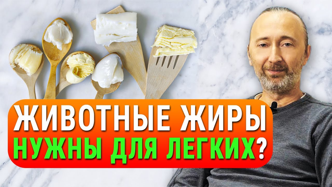 Какие жиры укрепляют легкие?