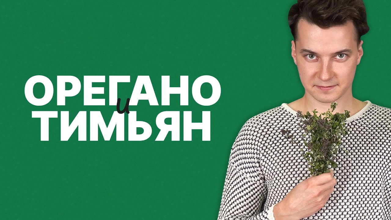 Чем отличаются орегано, тимьян, душица, чабрец и майоран?