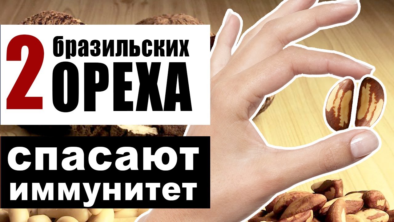 Бразильский орех - почему 2 ореха в день спасут наш иммунитет