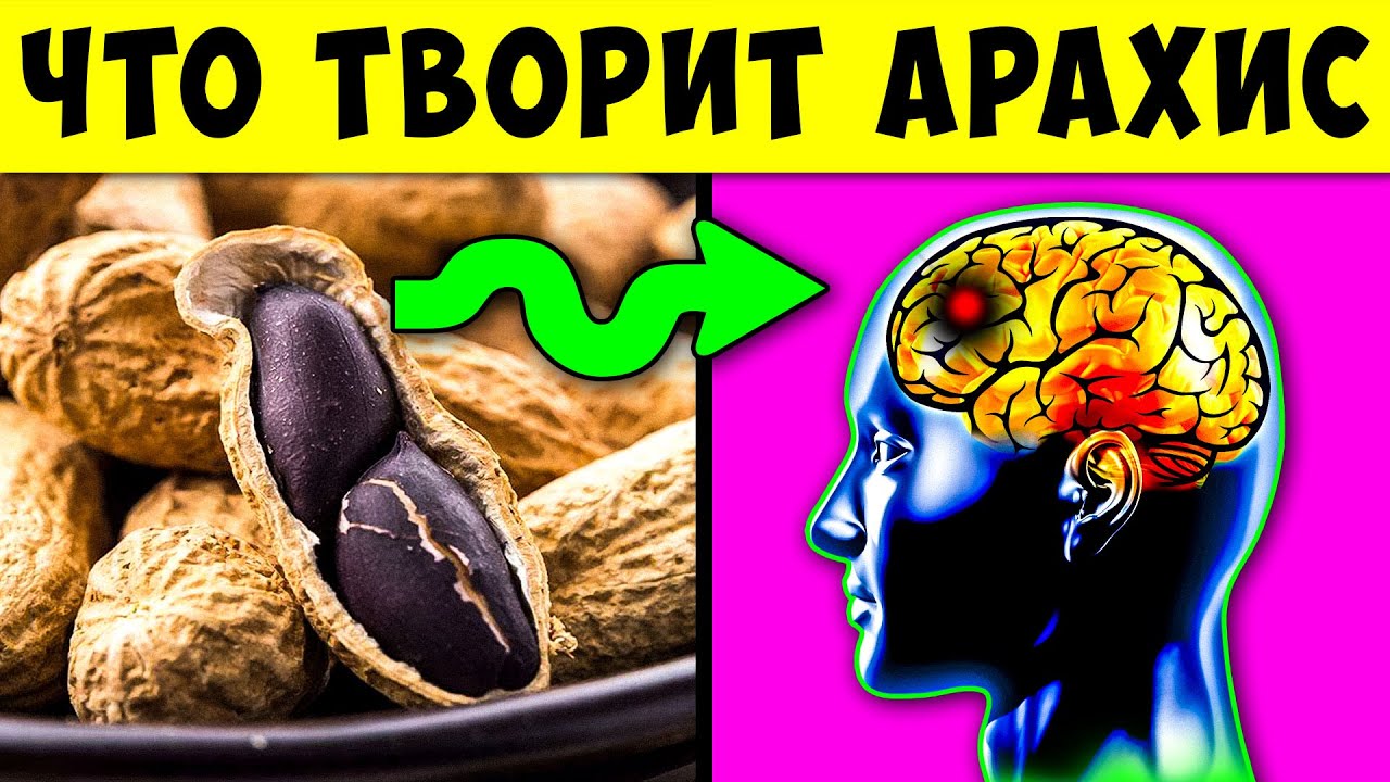 Что будет, если есть арахис каждый день? Польза и вред