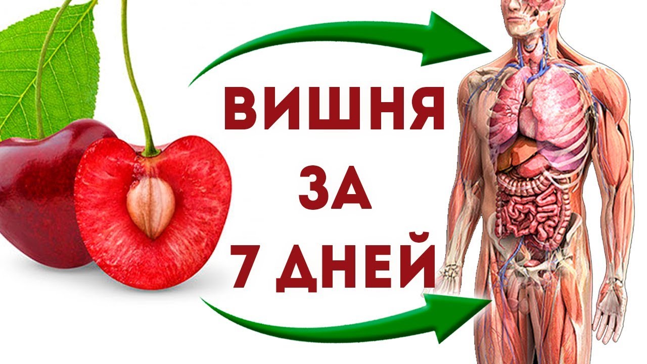 Что будет, если есть вишню в течение 7 дней?