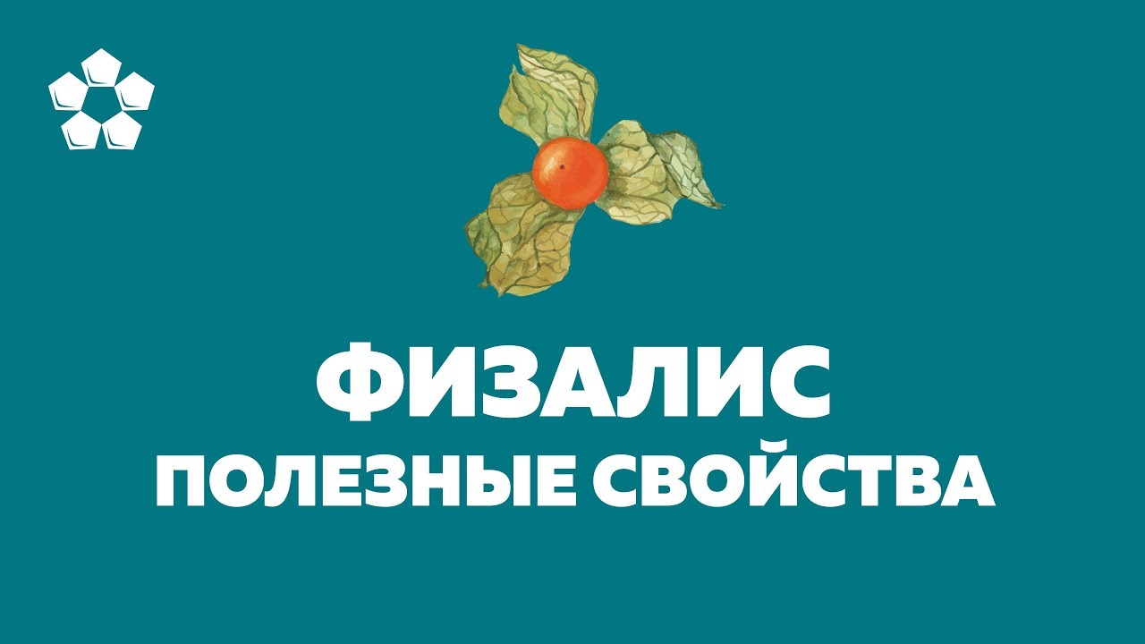 Физалис - полезные свойства