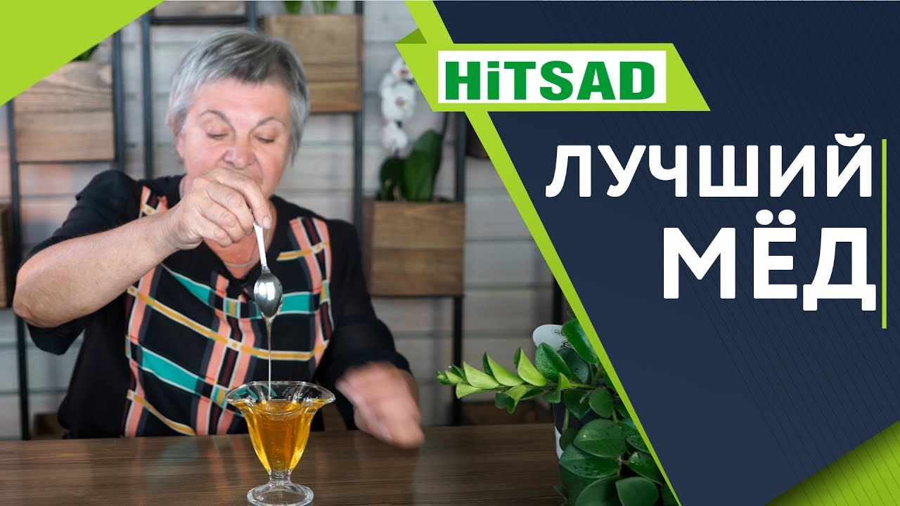 Лучшие сорта меда