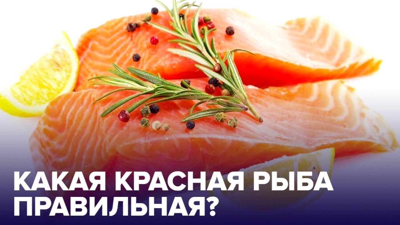 Форель, семга, лосось, горбуша – какая красная рыба самая полезная?