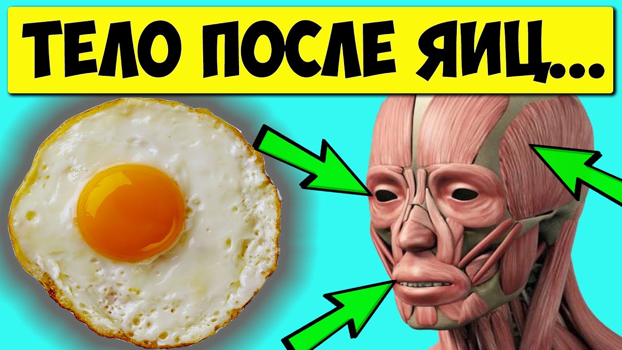 10 уникальных фактов о пользе яиц