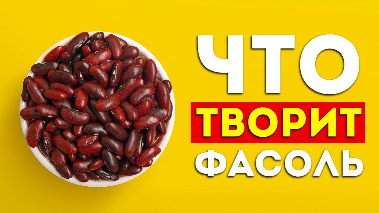 Польза и вред фасоли