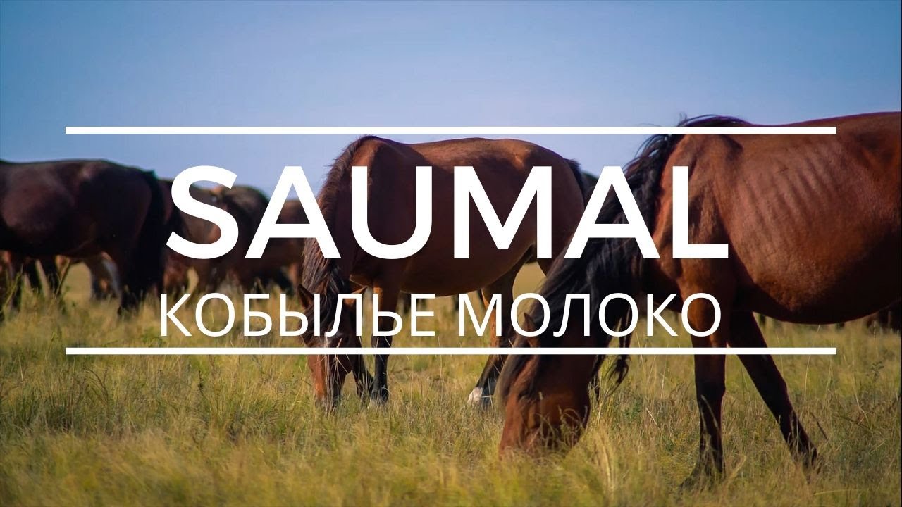 Кобылье молоко Saumal