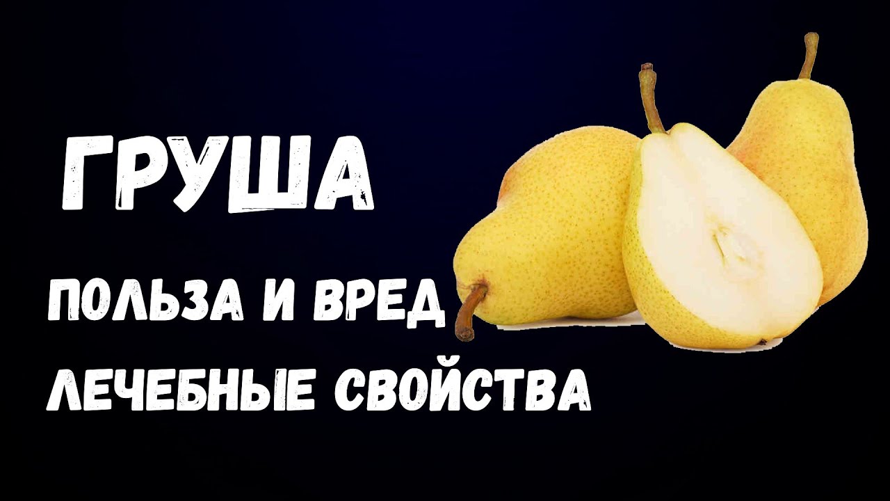 Польза и вред груши