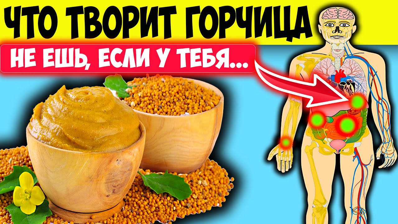 Польза и вред горчицы для здоровья