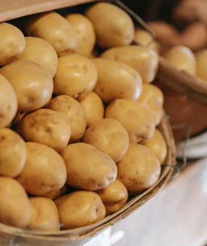 катофель