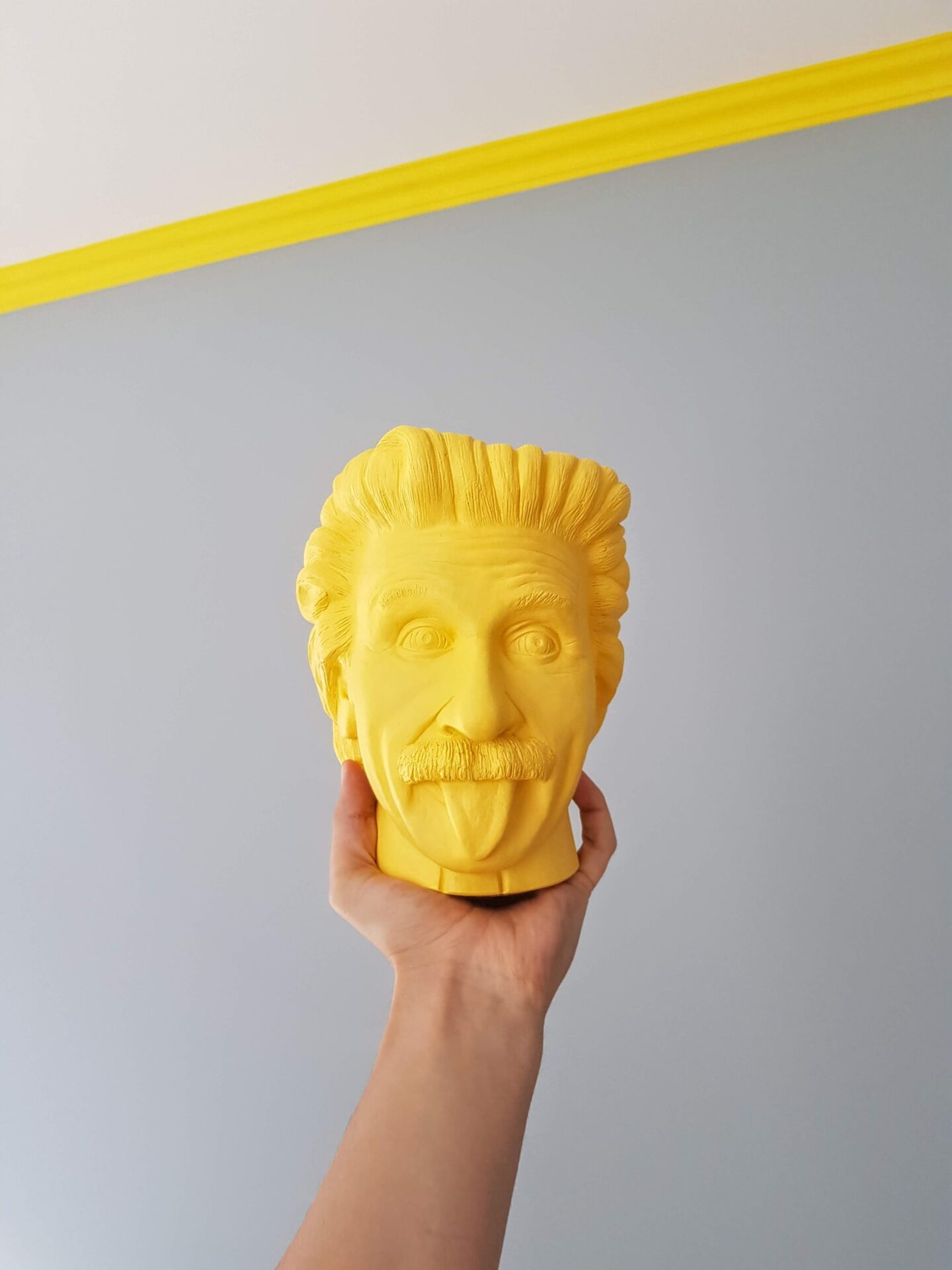 голова эйнштейна в руке