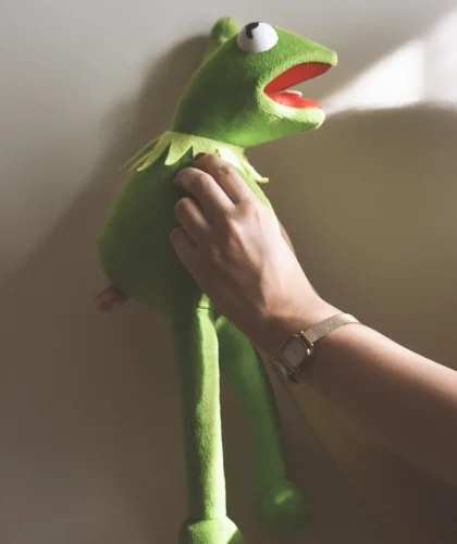 игрушечная лягушка