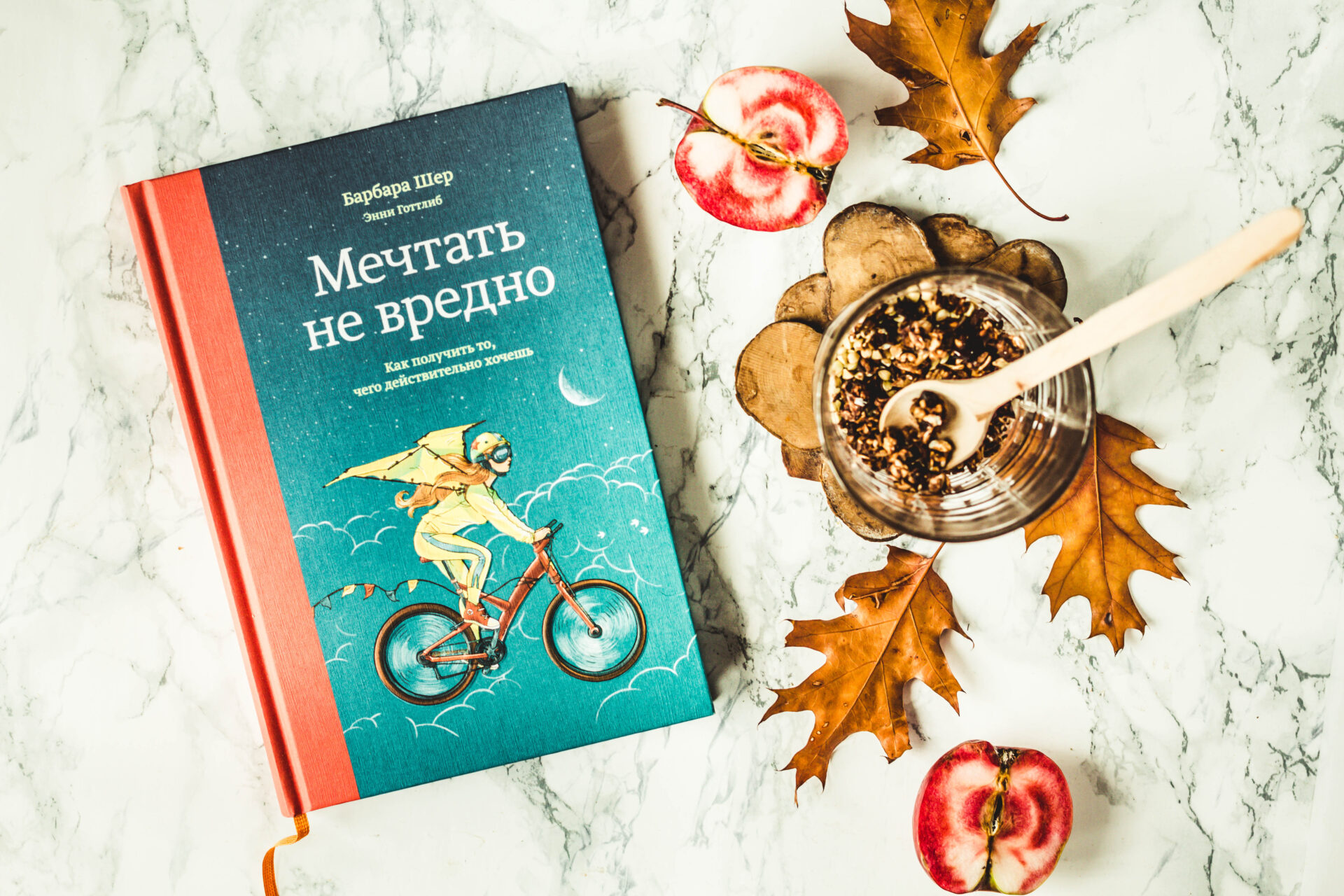 Барбара Шер «Мечтать не вредно»