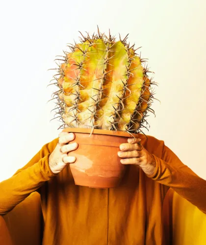 кактус в руках