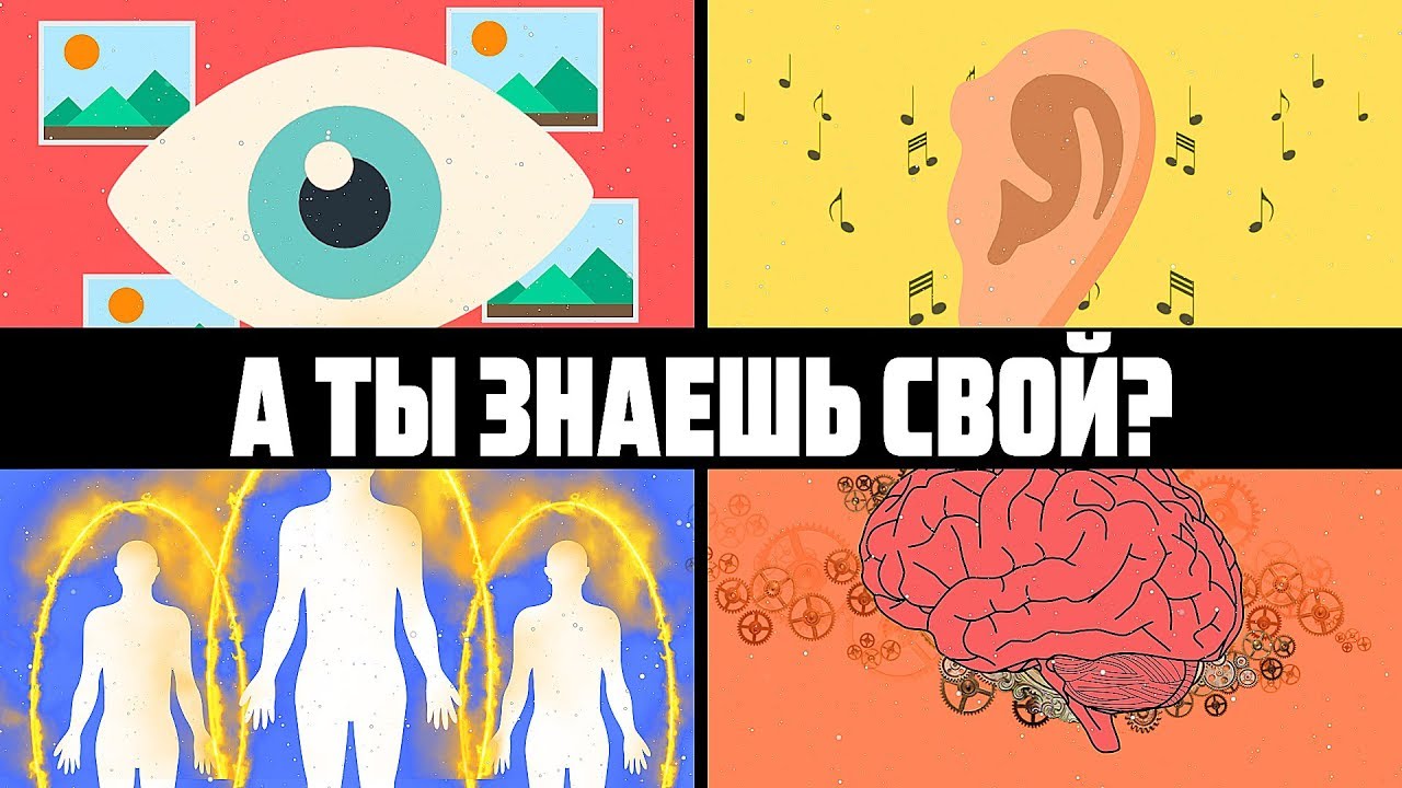 4 типа восприятия человека