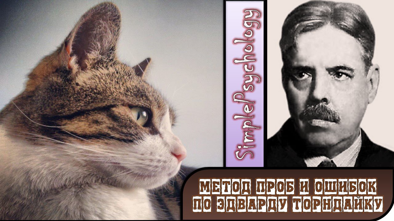 Метод проб и ошибок по Торндайку