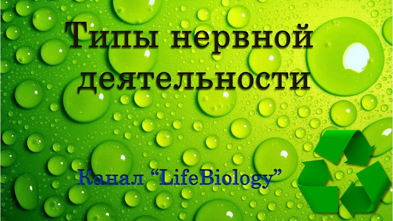 Типы нервной деятельности