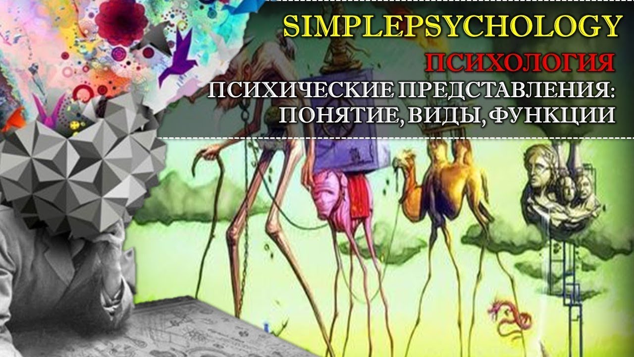 Психические представления: понятие, виды, функции