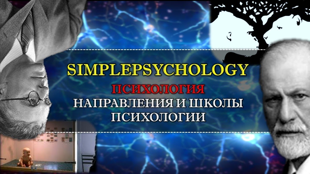 Направления и школы психологии