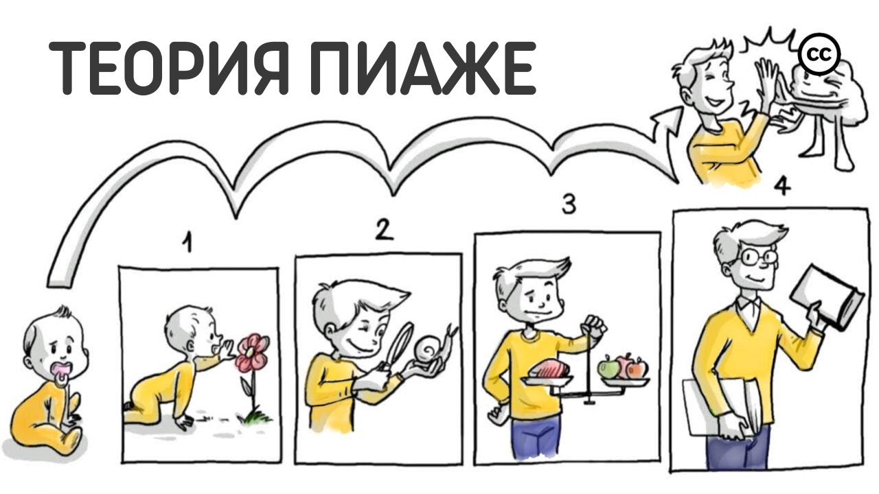 Теория Пиаже о когнитивном развитии